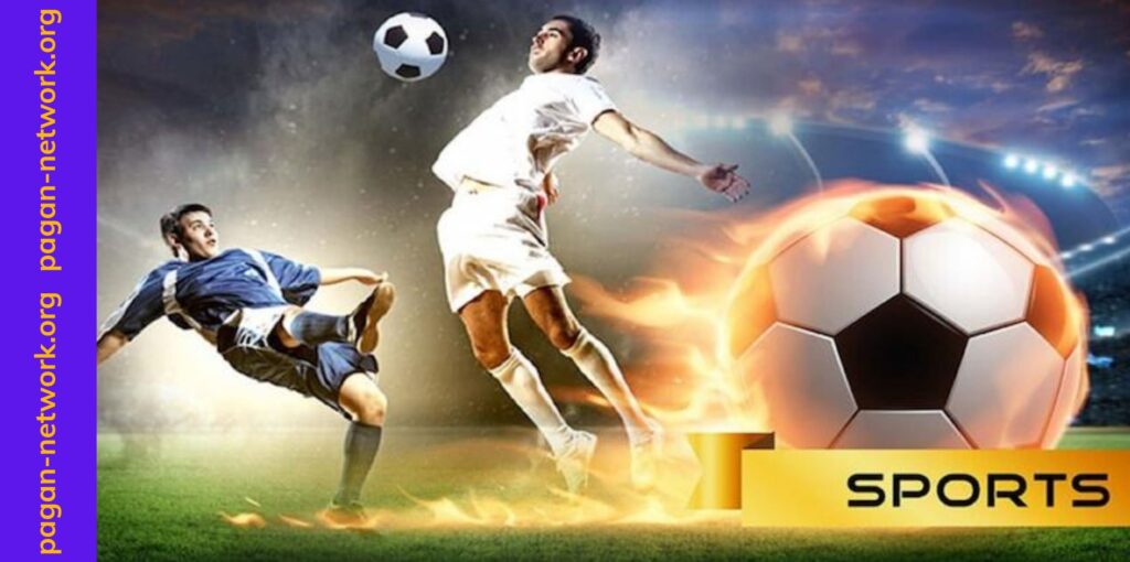 Các hình thức cược thể thao được yêu thích tại cổng game Gun88